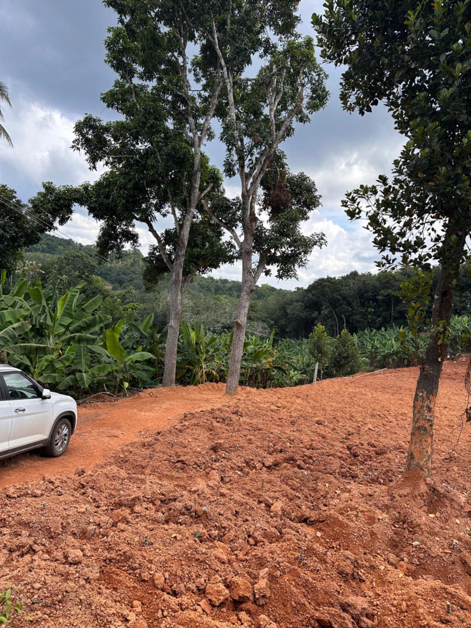Kattil Farm Stay Varkala Thiruvananthapuram Zewnętrze zdjęcie